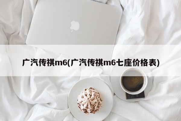 广汽传祺m6(广汽传祺m6七座价格表)