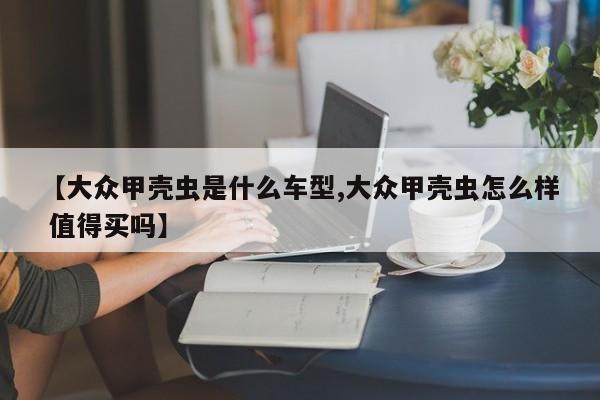 【大众甲壳虫是什么车型,大众甲壳虫怎么样 值得买吗】