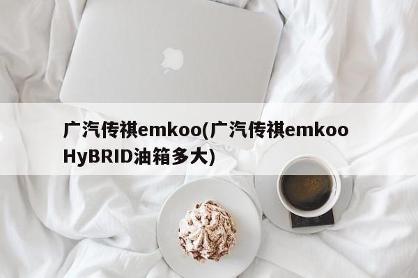 广汽传祺emkoo(广汽传祺emkoo HyBRID油箱多大)