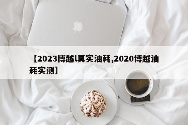 【2023博越l真实油耗,2020博越油耗实测】