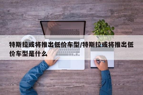 特斯拉或将推出低价车型/特斯拉或将推出低价车型是什么